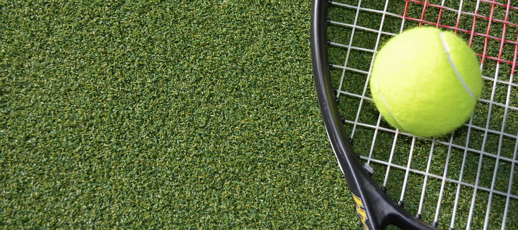 pro-sport-turf