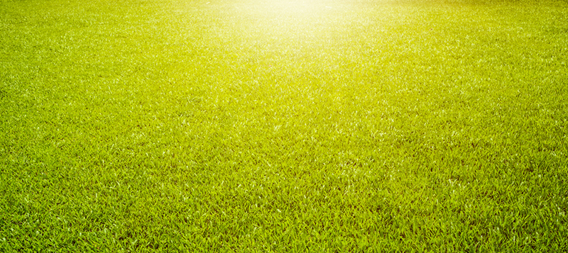 shutterstock_731128264